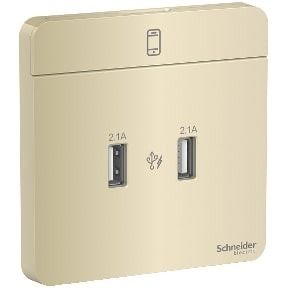 Schneider AvatarOn, USB charger, 2 type A, 2.1 A, Wine Gold - E8332USB_WG